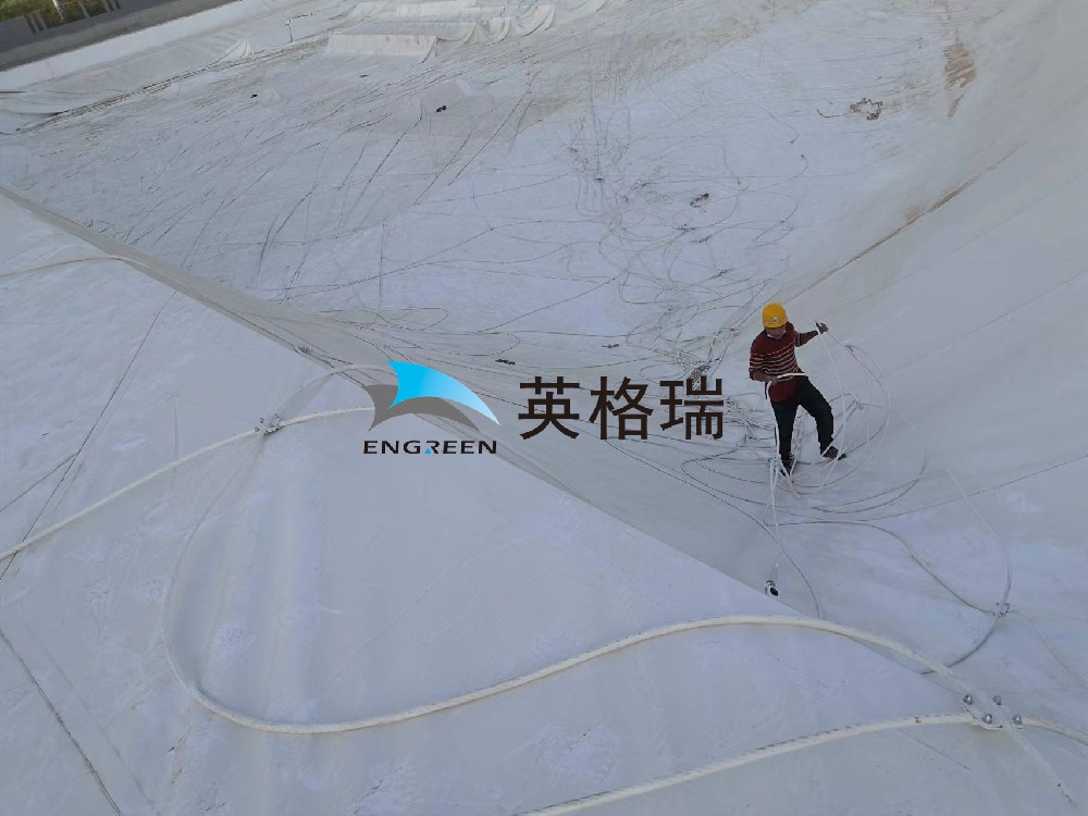 草莓视频下载网址垃圾处理厂，环保新潮流